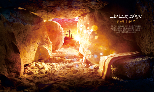 74242a-부활절 포토존