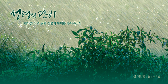 75094a-성령강림절