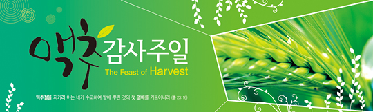 76013a-맥추감사절