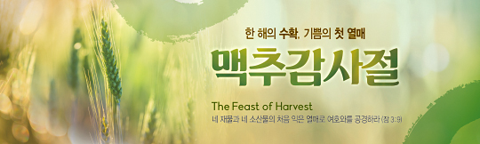 76077a-맥추감사절