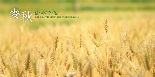 76083a-맥추감사절