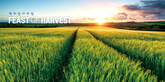 76084a-맥추감사절