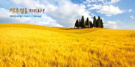 76085a-맥추감사절