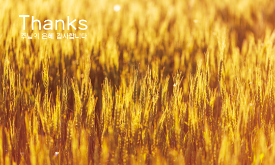 76088a-맥추감사절