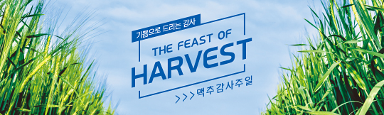 76097a-맥추감사절