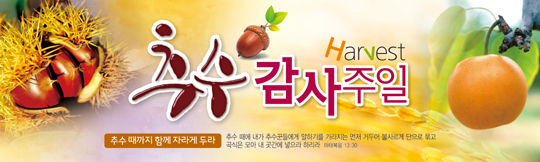 77010a-추수감사절