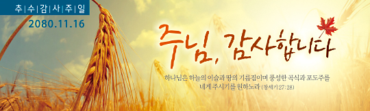 77129a-추수감사절