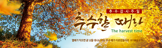 77133a-추수감사절