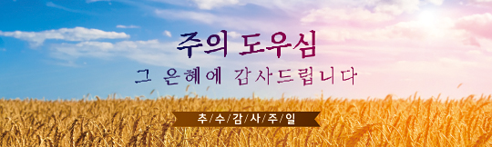 77143a-추수감사절