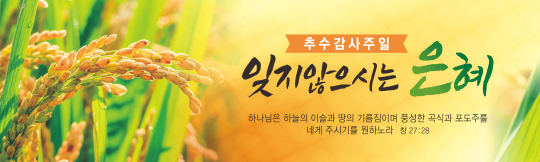 77196a-추수감사절