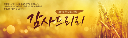 77205a-추수감사절