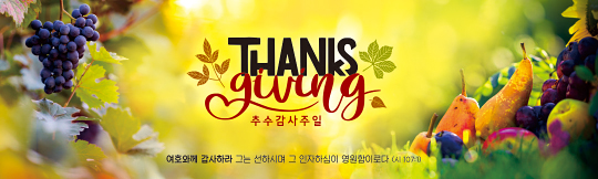 77230a-추수감사절