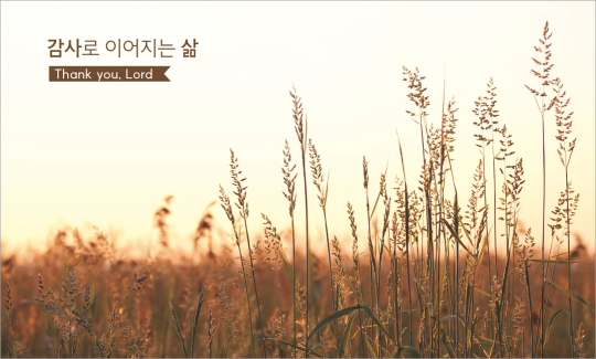 77255a-추수감사절 포토존