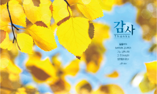 77256a-추수감사절 포토존