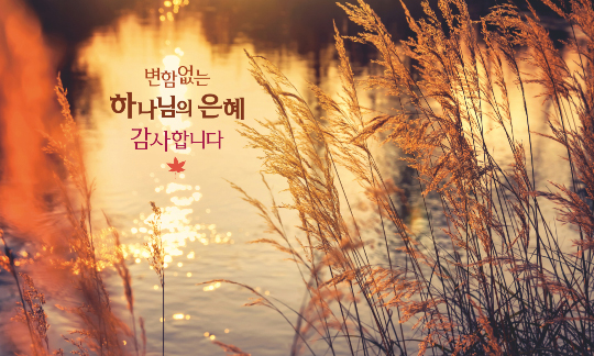 77258a-추수감사절 포토존