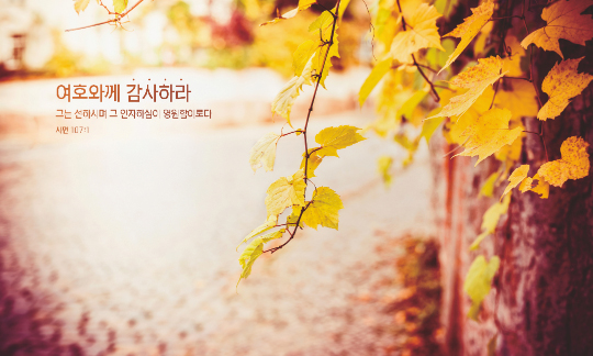 77259a-추수감사절 포토존