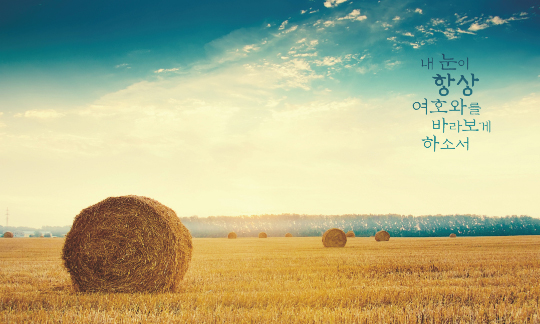 77260a-추수감사절 포토존