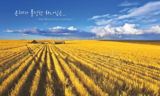 77261a-추수감사절 포토존