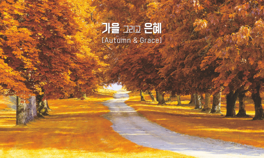 77262a-추수감사절 포토존