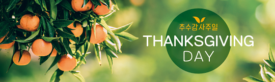 77297a-추수감사절