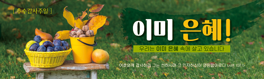 77310a-추수감사절