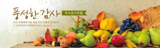 77311a-추수감사절