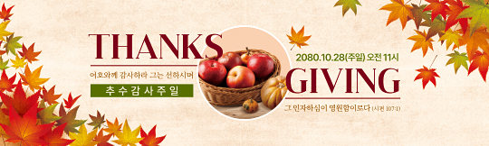 77313a-추수감사절