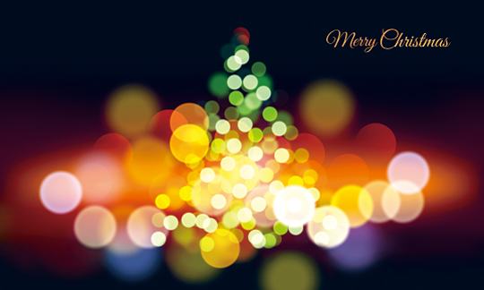 78312a-성탄절 포토존