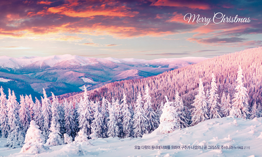 78319a-성탄절 포토존