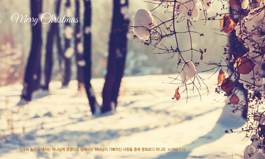 78320a-성탄절 포토존