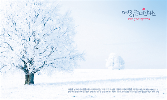 78323a-성탄절 포토존