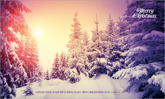 78324a-성탄절 포토존