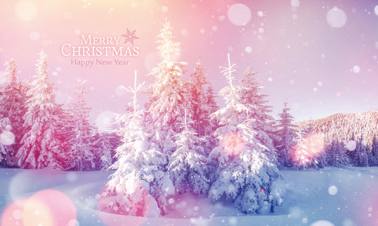 78337a-성탄절 포토존