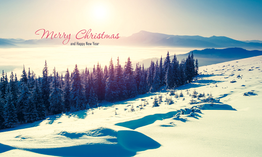 78343a-성탄절 포토존