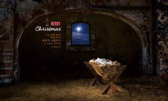 78346a-성탄절 포토존