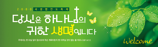 79028a-새생명전도축제