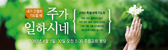 51113a-특별새벽기도회