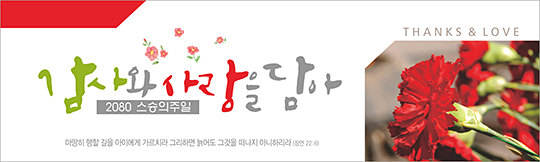 54065a-스승의주일