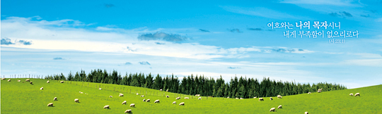 35018a-강대상배경