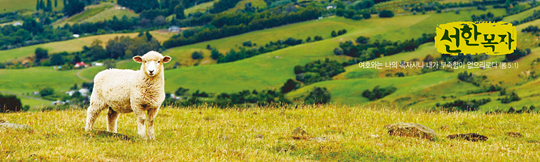 35025a-강대상배경