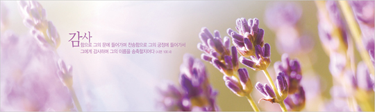 35037a-강대상배경