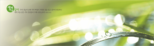 35039a-강대상배경