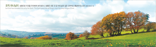 35040a-강대상배경