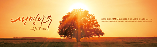 35073a-강대상배경