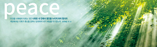 35081a-강대상배경