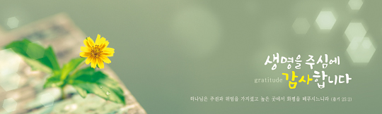 35133a-강대상배경