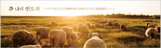 35146a-강대상배경