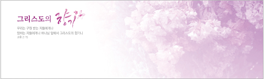 35148a-강대상배경