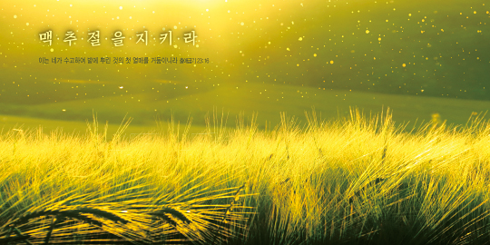 35150a-강대상배경