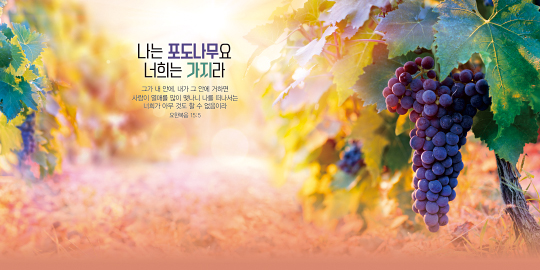 35152a-강대상배경